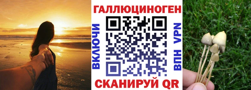 Псилоцибиновые грибы ЛСД  даркнет сайт  Очёр 